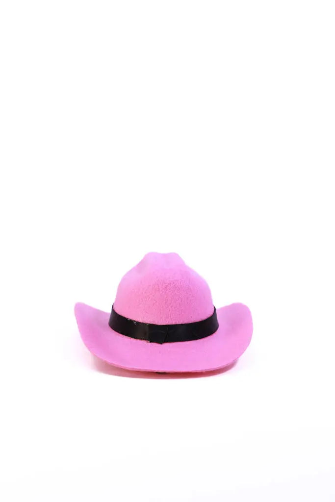 Mini Western Cowboy Hats for Pets – Festival & Photo Ready! Western Fedora Hats