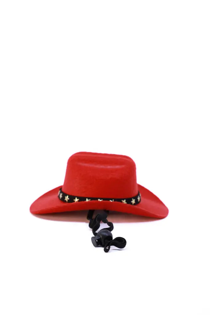 Mini Western Cowboy Hats for Pets – Festival & Photo Ready! Western Fedora Hats